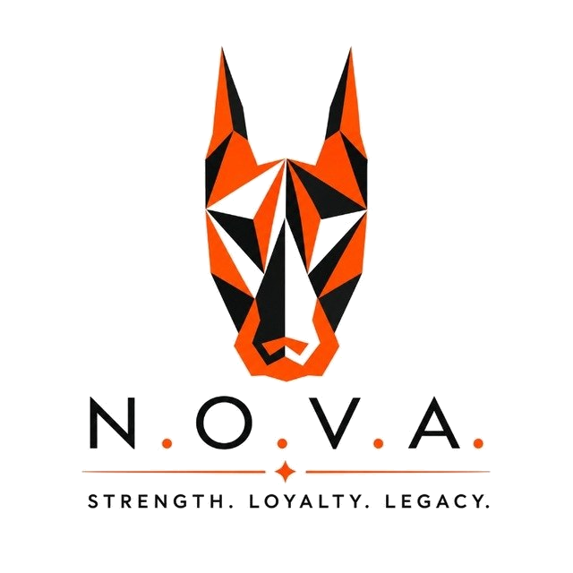 Логотип N.O.V.A.